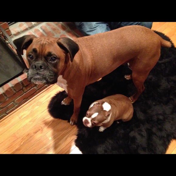 Meet your Posher, Kathy, The Ruffled Robin - Picture 7 of 11